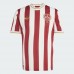 2025 1 FC Nurnberg Mens Anniversary Jersey 