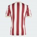 2025 1 FC Nurnberg Mens Anniversary Jersey 