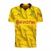 2023-24 Borussia Dortmund Mens Cup Jersey