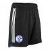 2023-24 FC Schalke 04 Mens Alternative Shorts