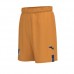 2023-24 TSG Mens Third Shorts