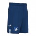 2023-24 TSG Mens Home Shorts