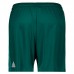 Adidas Flamengo Goalkeeper 2019 Shorts