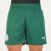 2023-24 Palmeiras Men's Away Shorts