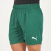 2023-24 Palmeiras Men's Away Shorts