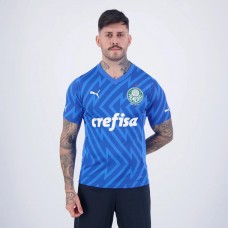 24-25 Palmeiras Mens Home Goalkeeper Jersey