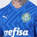 24-25 Palmeiras Mens Home Goalkeeper Jersey