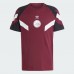 25-26 Ajax Amsterdam Men's Originals Soccer Jersey