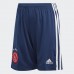 Ajax Away Shorts Senior 2020 2021