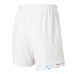 2023-24 Lille OSC Men's Away Shorts