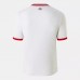24-25 Lille OSC Mens 80 Year Anniversary Soccer Jersey 