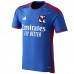 2023-24 Olympique Lyonnais Men's Away Jersey