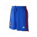 2023-24 Olympique Lyonnais Men's Away Shorts