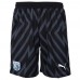 23-24 West Bromwich Albion Fc Men's Goalkeeper Shorts