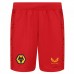 23-24 Wolverhampton Wanderers Men's Away Shorts