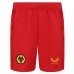 23-24 Wolverhampton Wanderers Men's Away Shorts