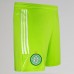 23-24 Celtic Goalkeeper Away Shorts