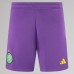 23-24 Celtic Goalkeeper Third Shorts