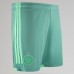 23-24 Celtic Men's Third Shorts