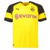 BVB Home Shirt 2018-19