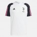 23-24 Juventus Mens Training Jersey