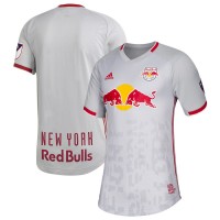Men's New York Red Bulls adidas Gray 2019 Primary Authentic Jersey
