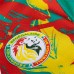 25-26 Senegal Mens Pre Match Jersey