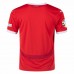 Euro 2024 Austria Mens Home Jersey
