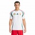 Euro 2024 Hungary Mens Away Jersey