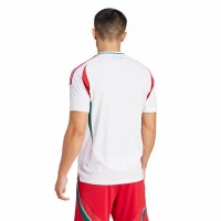 Euro 2024 Hungary Mens Away Jersey