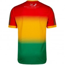 2020 Carlow GAA 2 Stripe Home Jersey