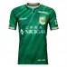 2025 Tokyo Verdy Mens Home Soccer Jersey