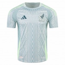 24-25 Mexico Mens Away Jersey