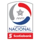 Chilean Primera Division