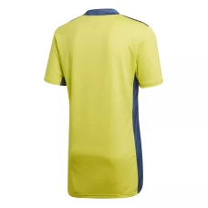 Juventus Goalkeeper Shirt 2020 2021